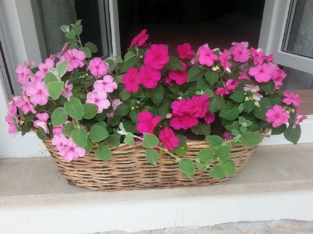 Rosa Apartman Crikvenica Kültér fotó